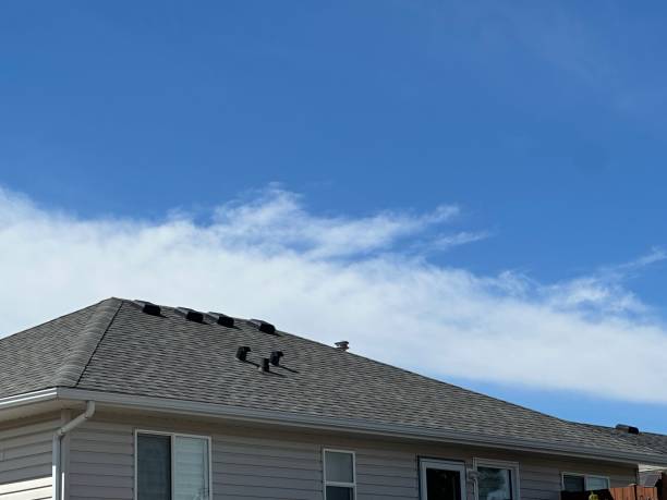 Skylights in Mount Olive, NC